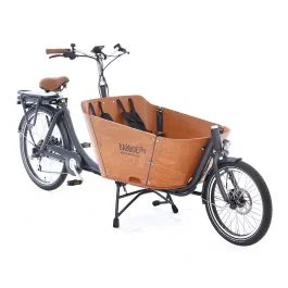City-E Mountain (2-wheel, electric)